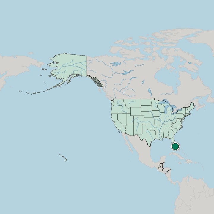 Map showing Weston — In United States