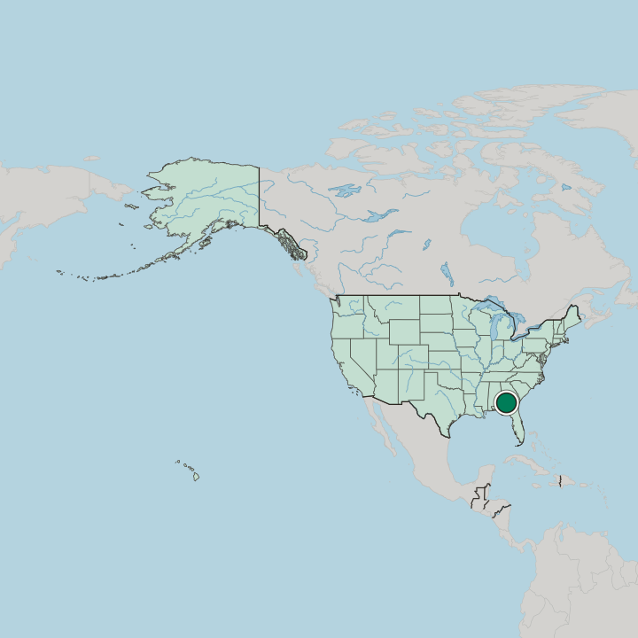 Map showing Albany — In United States