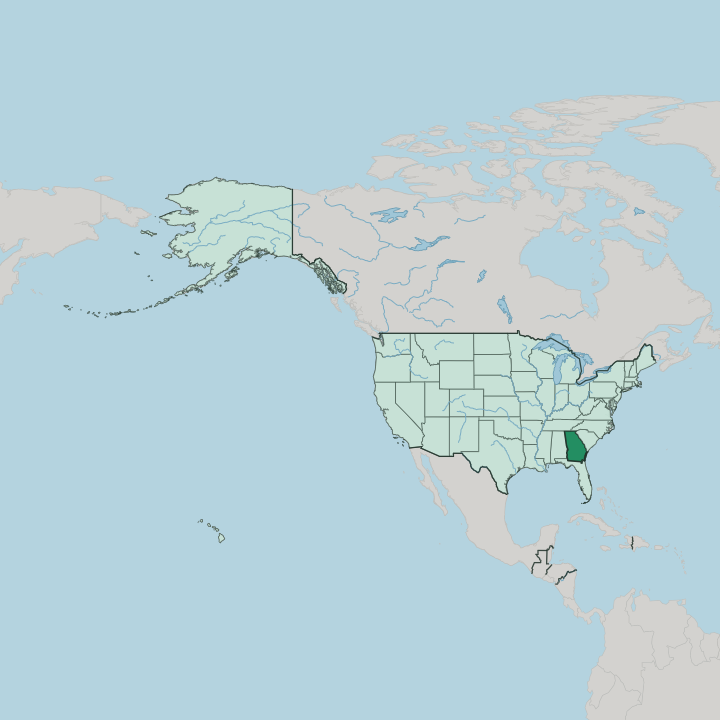 Map showing Georgia — In United States