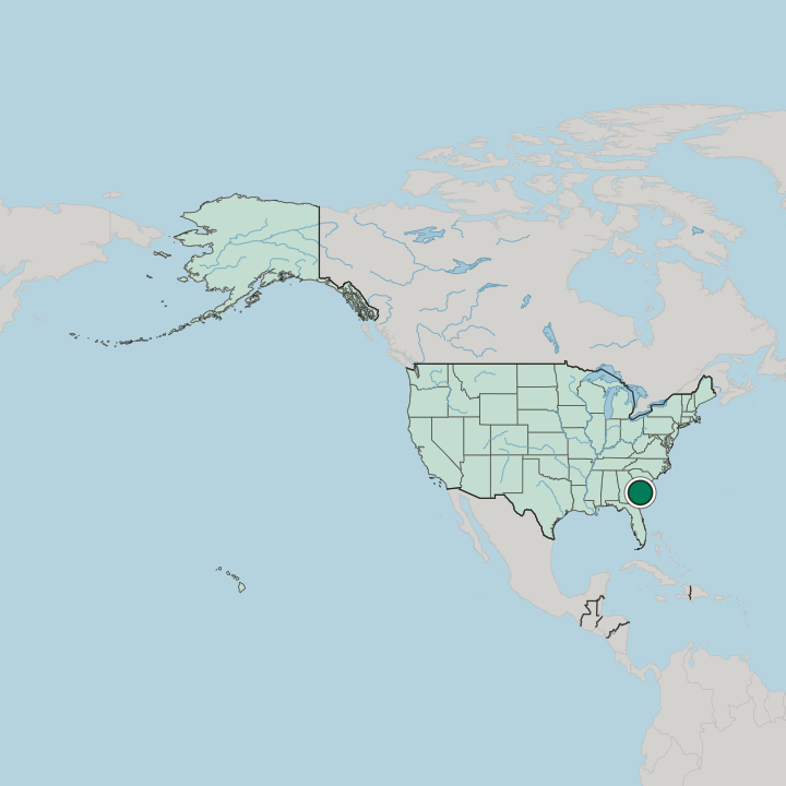 Map showing Savannah — In United States
