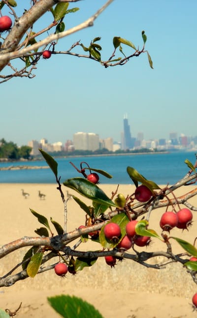 South Shore