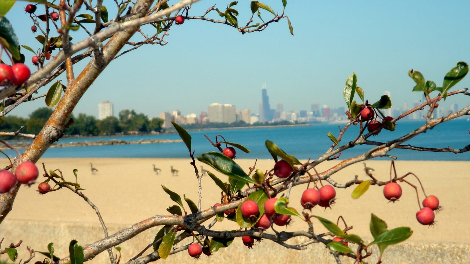 South Shore
