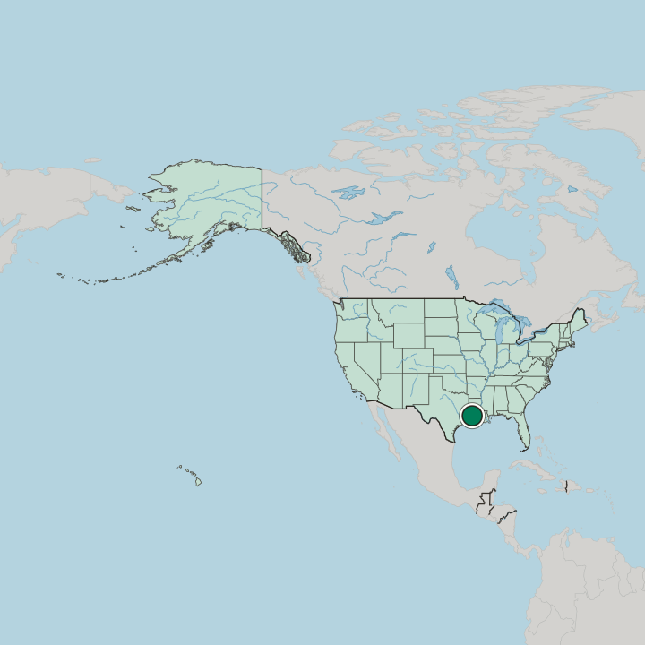 Map showing Lake Charles — In United States
