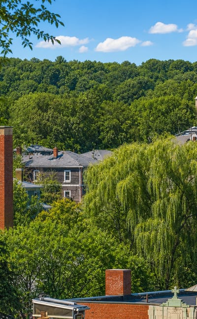 Leafy Jamaica Plain neighborhood in Boston with a church steeple and brick houses rising among dense green trees