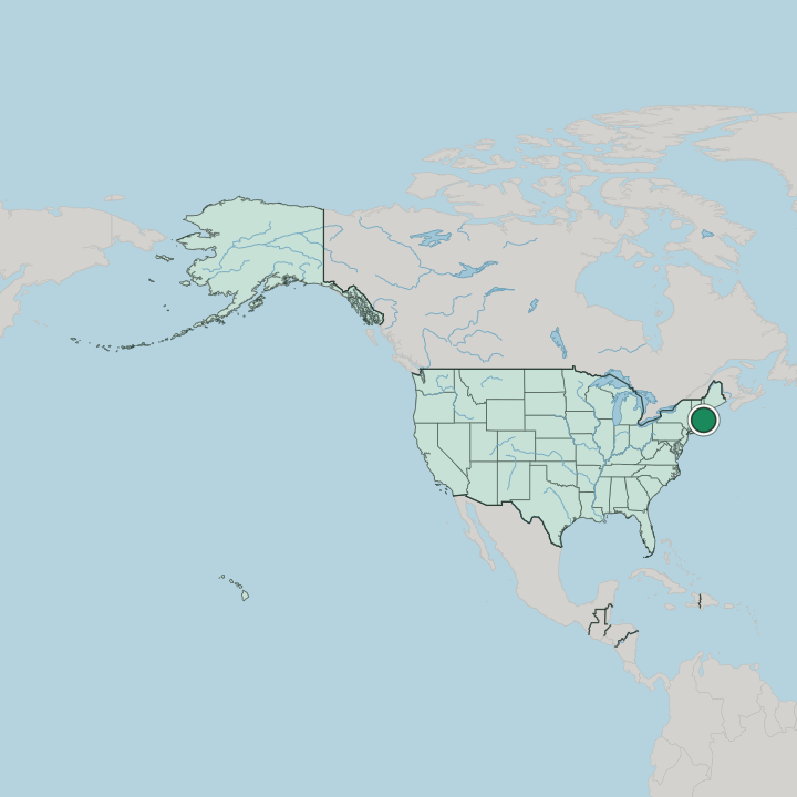 Map showing Cambridge — In United States