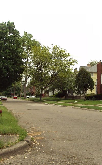 Brightmoor