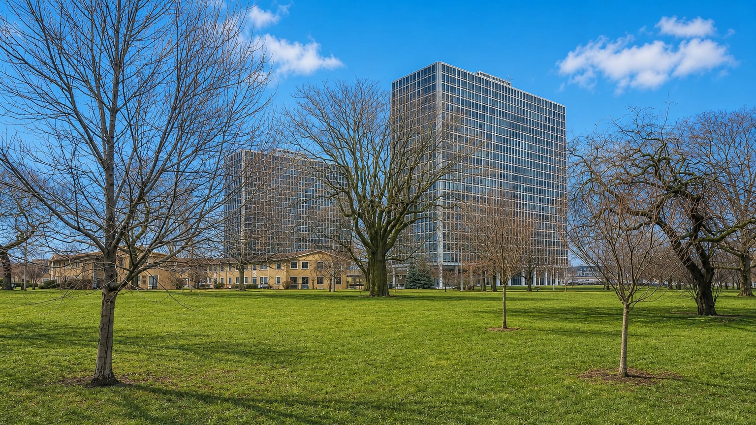 Mies van der Rohe glass towers of Lafayette Park, Detroit, set among parkland trees under a blue sky