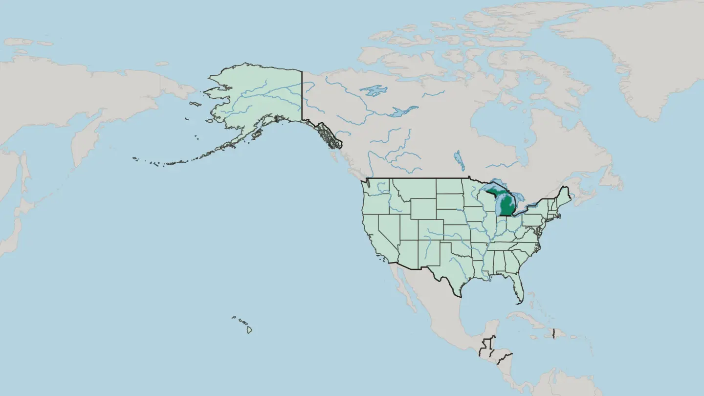 Map of Michigan in United States