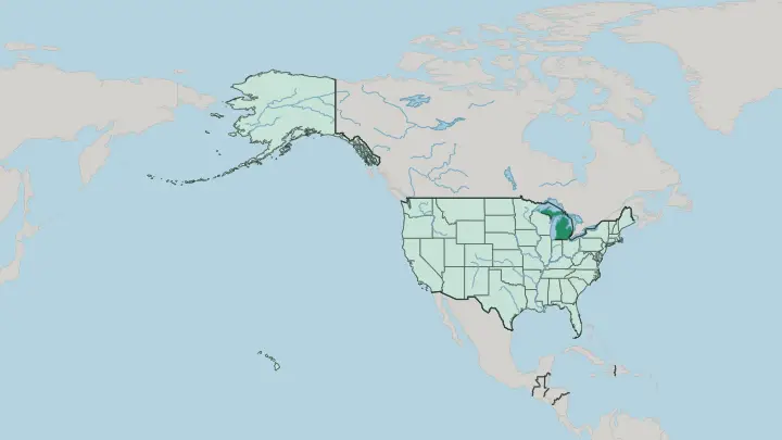 Map of Michigan in United States