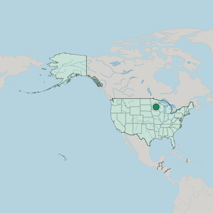 Map showing Saint Paul — In United States