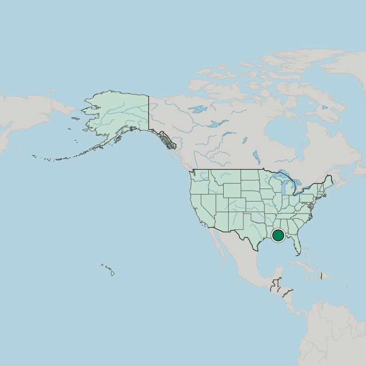 Map showing Gulfport — In United States