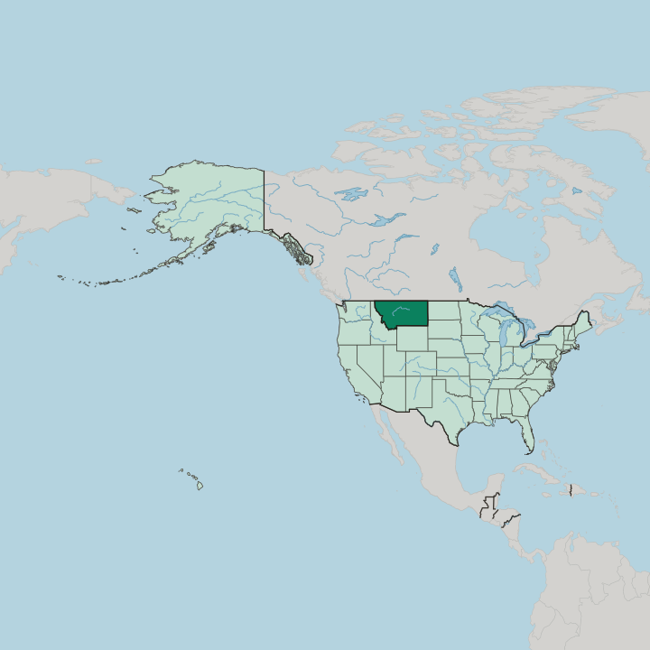 Map showing Montana — In United States