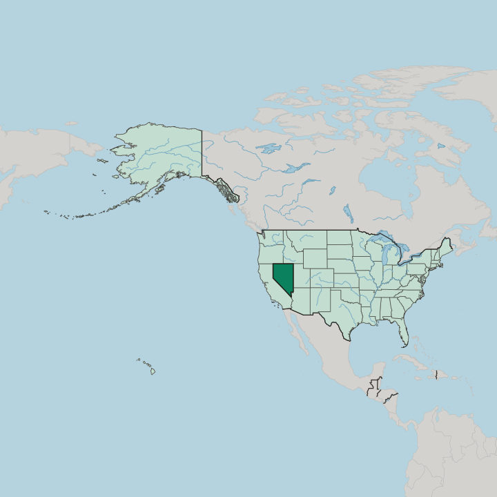 Map showing Nevada — In United States