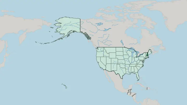 Map of New Hampshire in United States