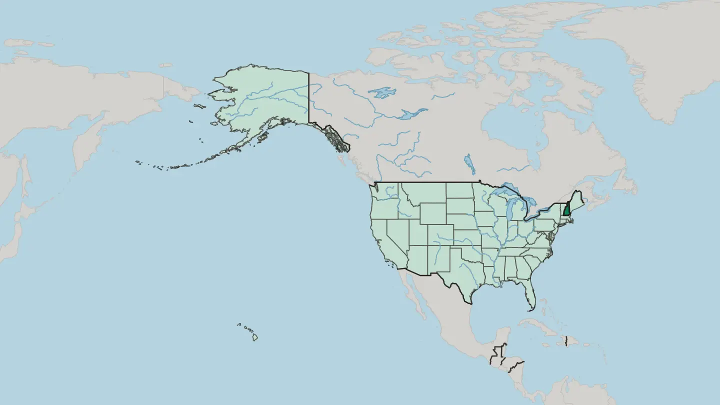 Map of New Hampshire in United States