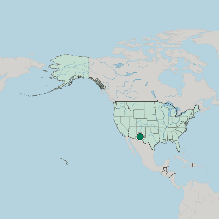 Map showing Las Cruces — In United States