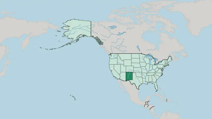 Map of New Mexico in United States