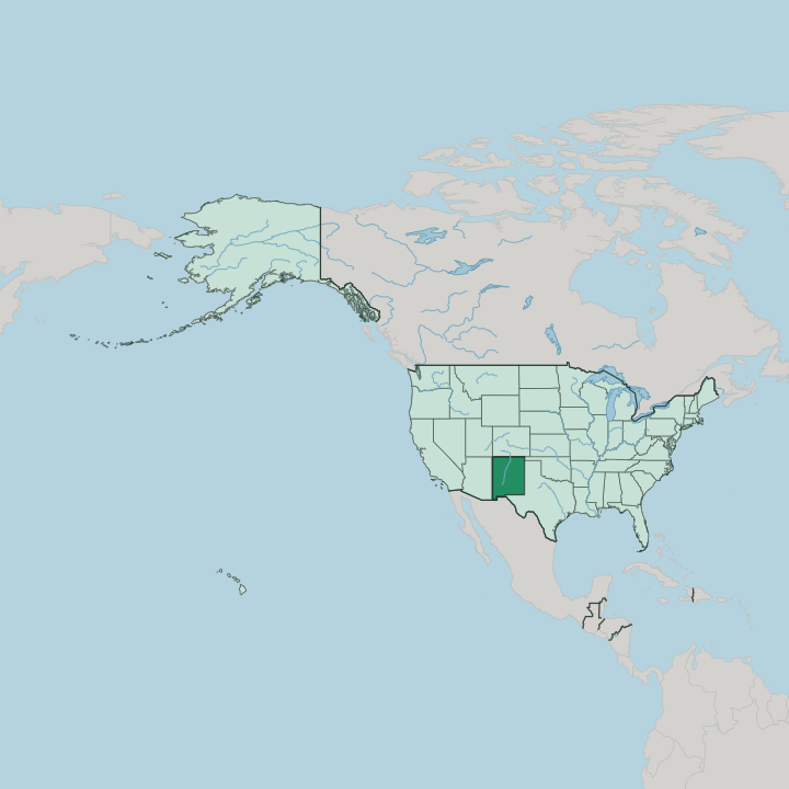 Map showing New Mexico — In United States