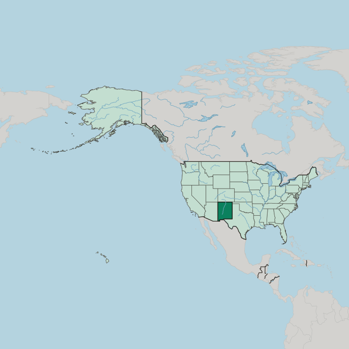 Map showing New Mexico — In United States