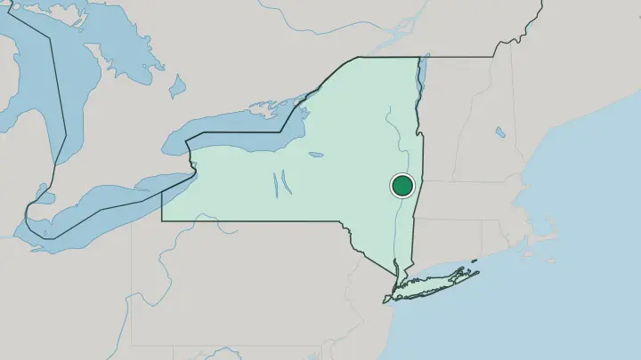 Map of Albany in United States