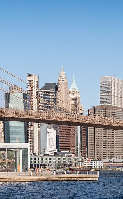 Brooklyn, New York rooftops and brownstones with the downtown skyline and Williamsburgh Savings Bank Tower beyond