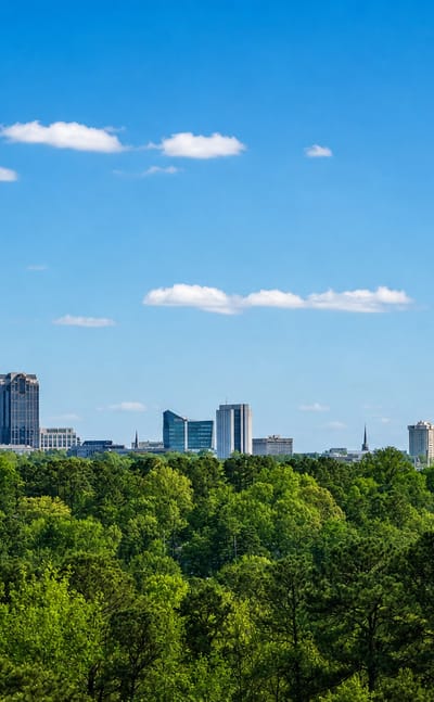Raleigh, North Carolina downtown skyline rising above a dense green tree canopy under a clear blue sky
