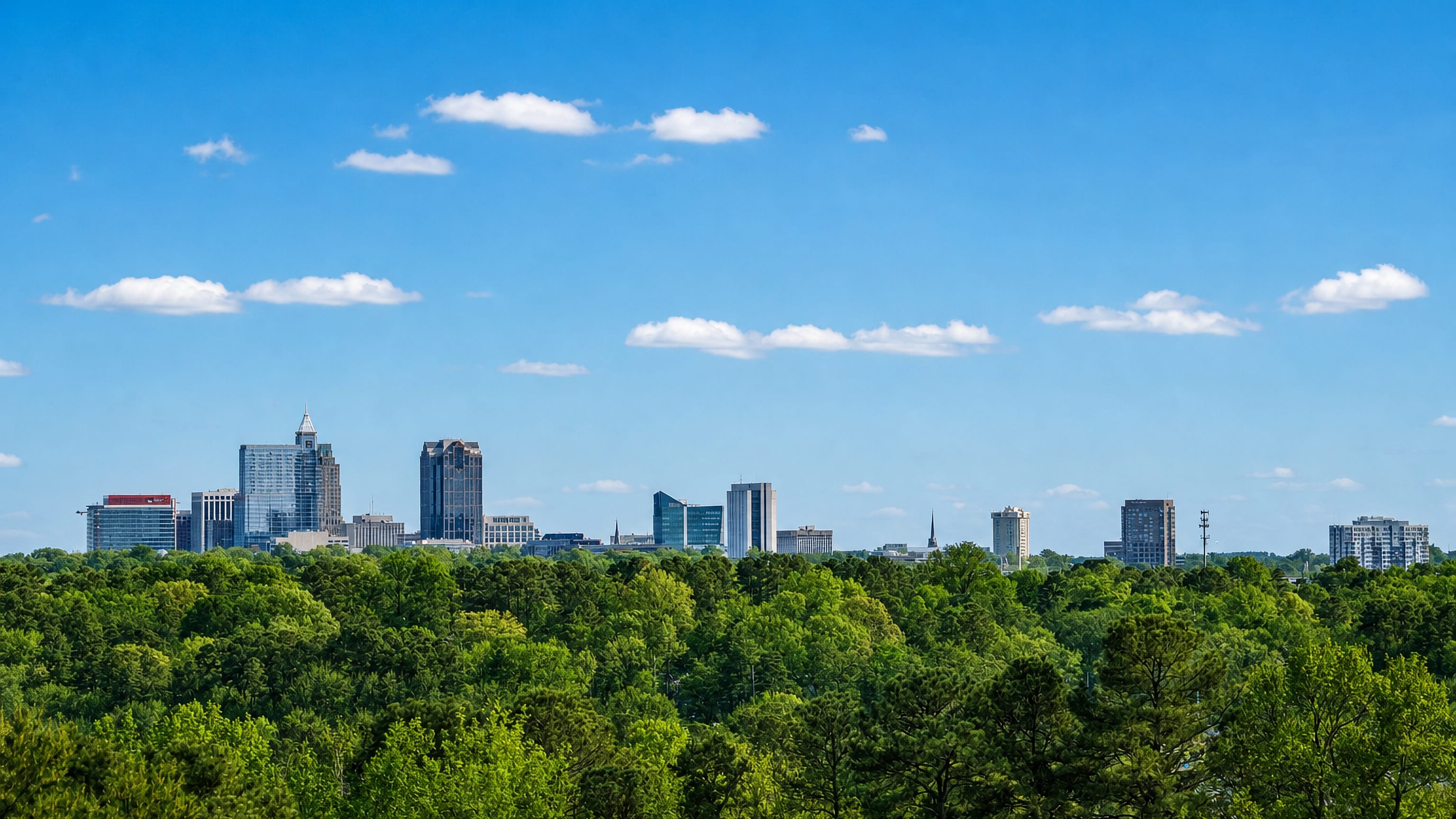 Raleigh, North Carolina downtown skyline rising above a dense green tree canopy under a clear blue sky