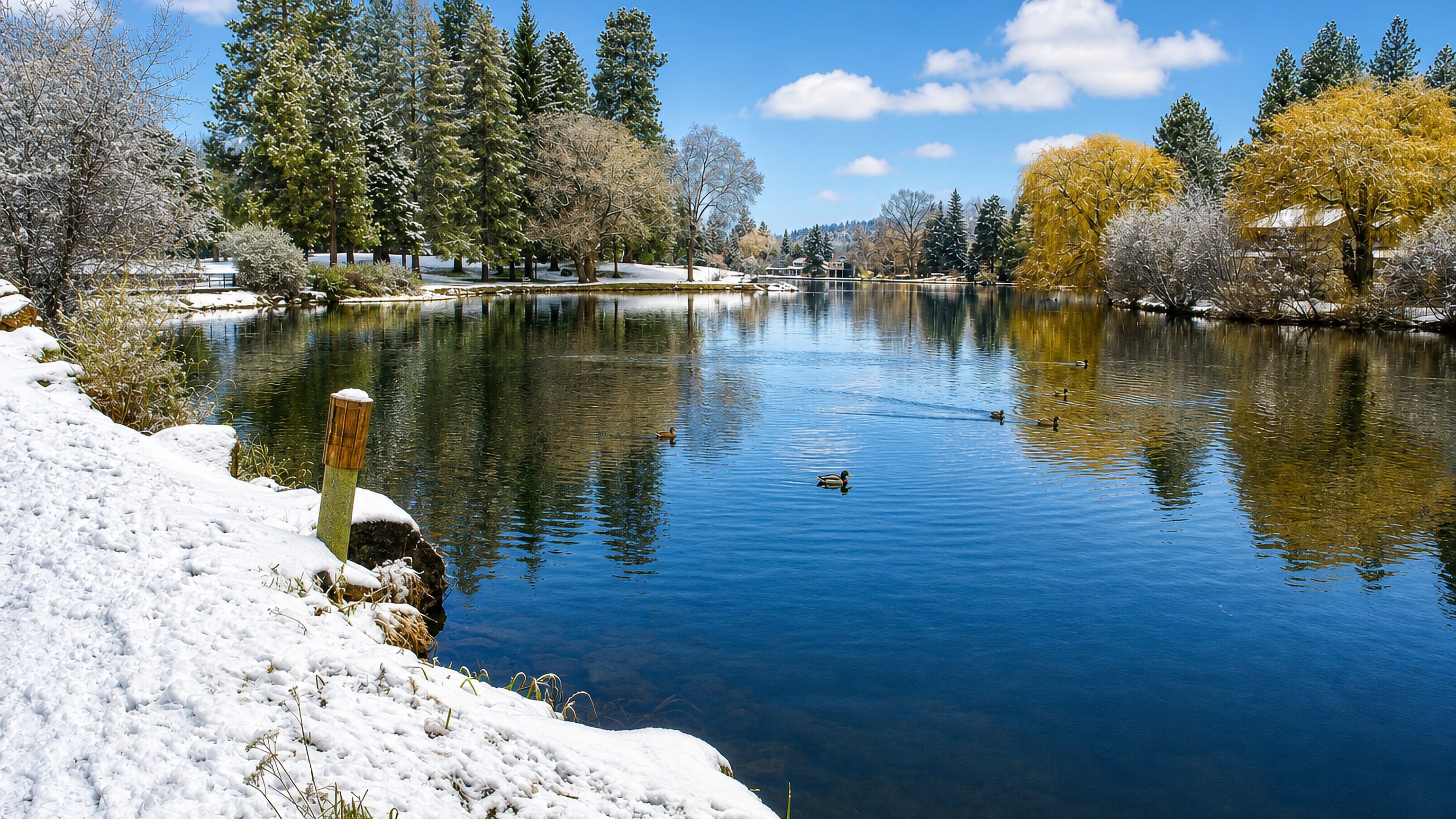 Snow-dusted banks and still water of the Deschutes River in Bend, Oregon, framed by pines and willows
