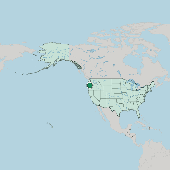 Map showing Salem — In United States