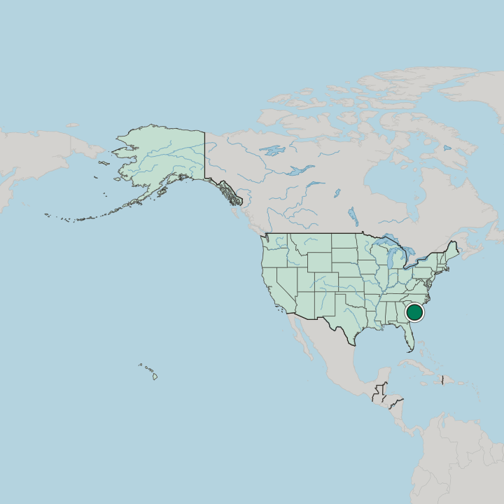 Map showing Charleston — In United States