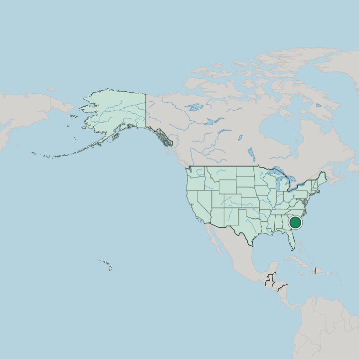 Map showing Charleston — In United States