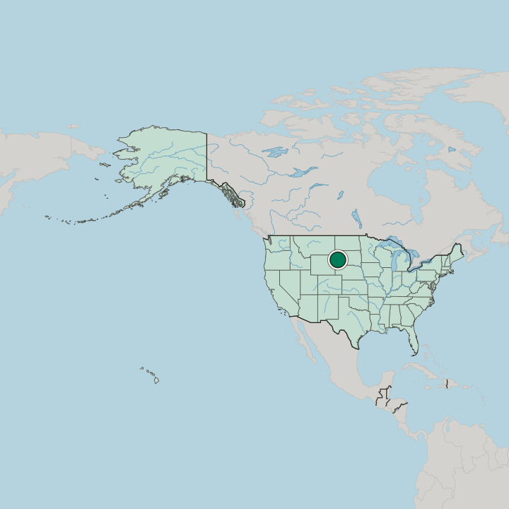 Map showing Rapid City — In United States