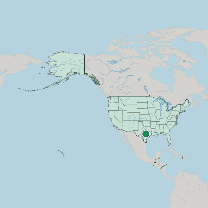 Map showing Austin — In United States