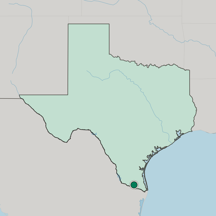 Map showing Edinburg — In Texas