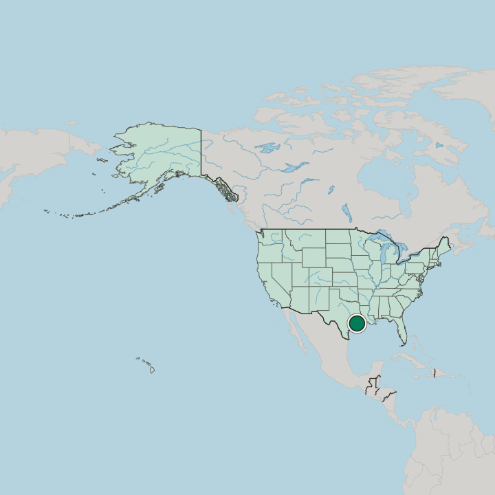 Map showing Galveston — In United States