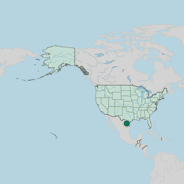 Map showing Laredo — In United States