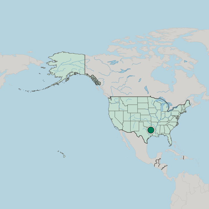 Map showing Longview — In United States
