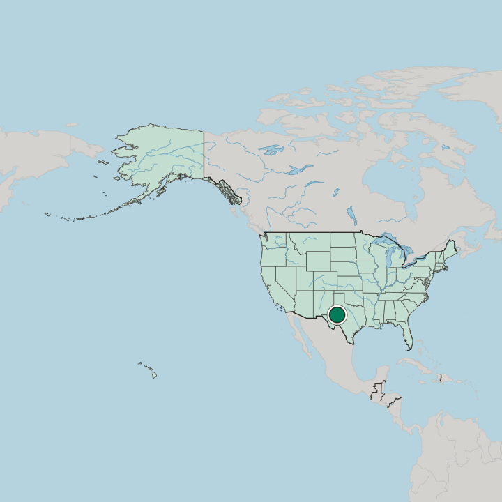 Map showing Midland — In United States