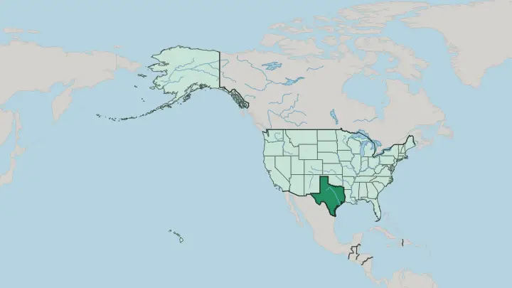 Map of Texas in United States