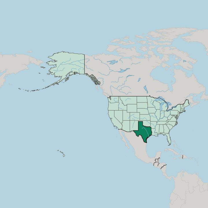 Map showing Texas — In United States