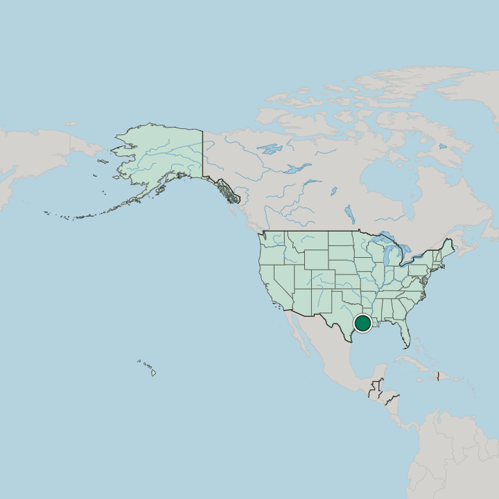 Map showing Port Arthur — In United States