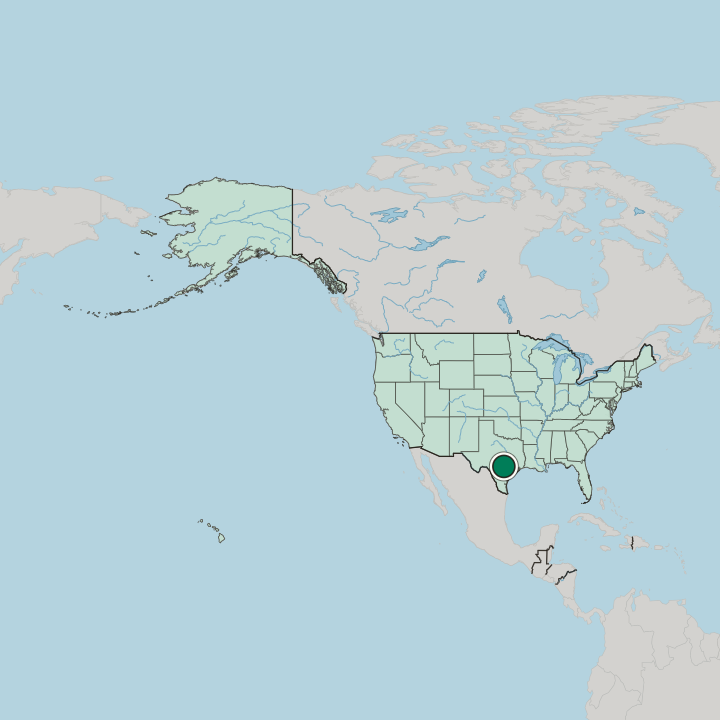 Map showing San Marcos — In United States
