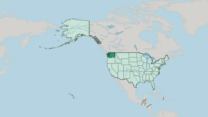 Map of Washington in United States