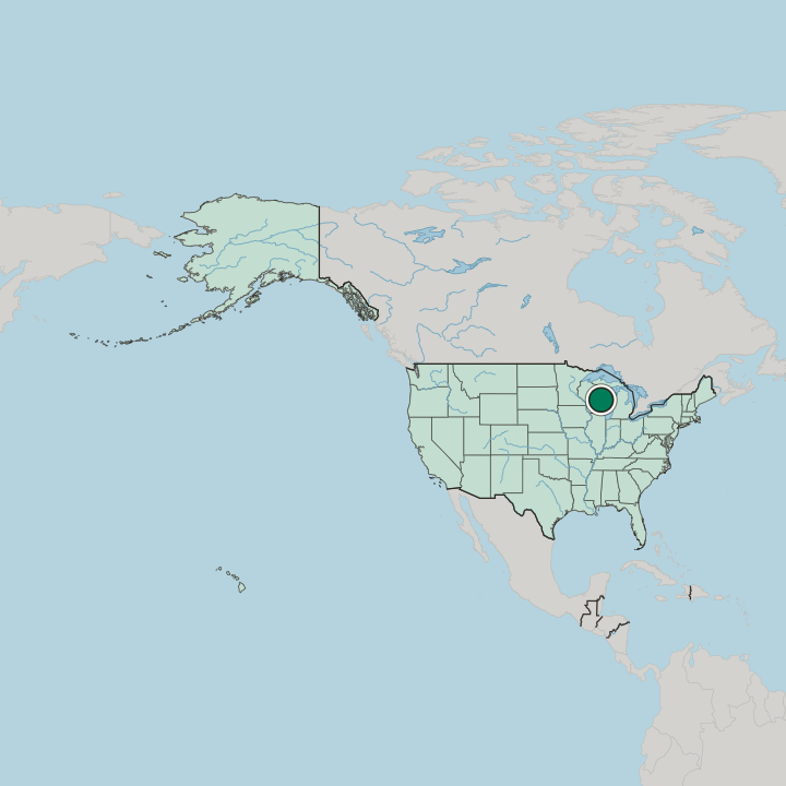 Map showing Appleton — In United States