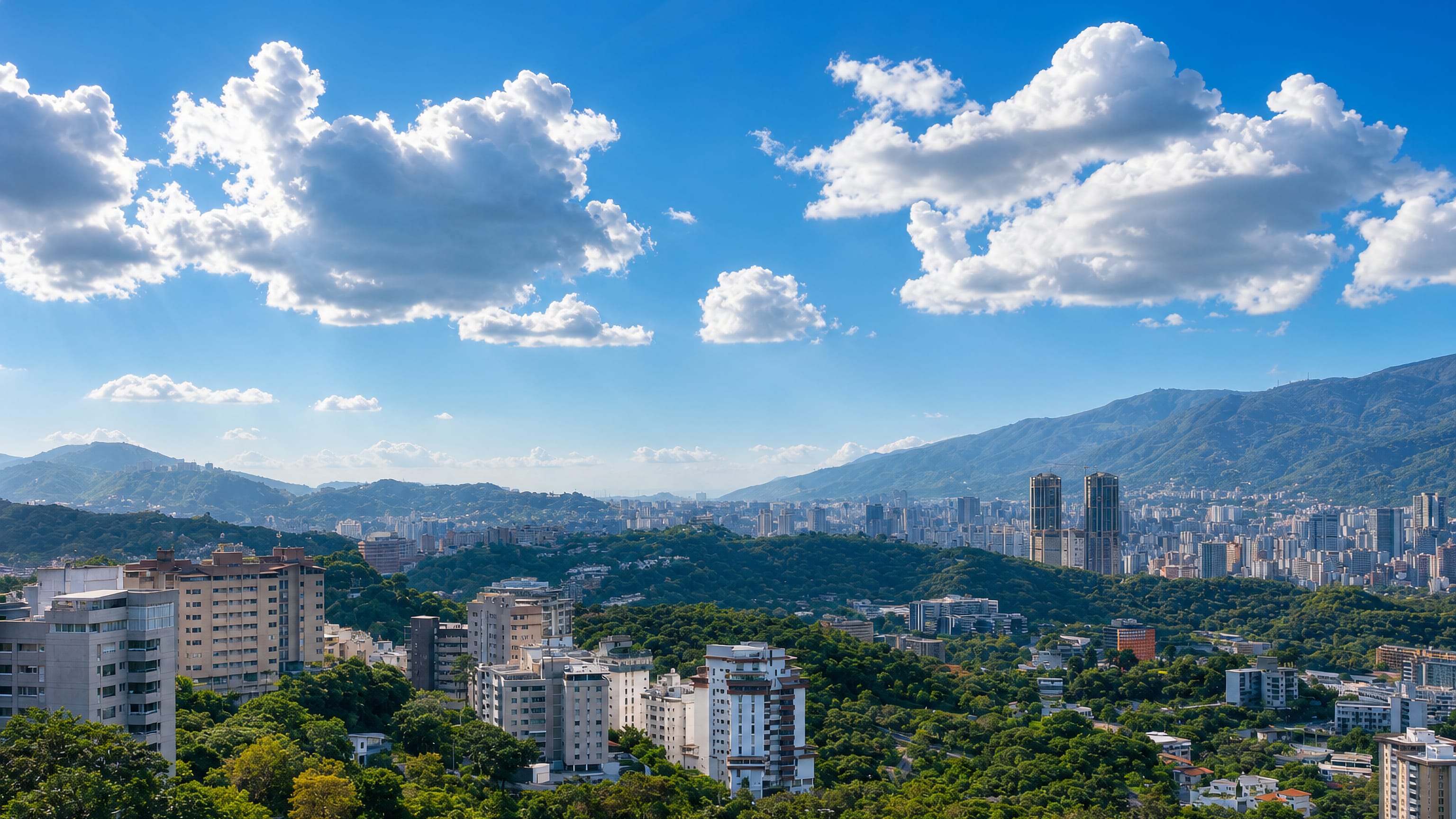 Apartment towers and greenery of Bello Monte, Caracas, below the forested Ávila mountain range.