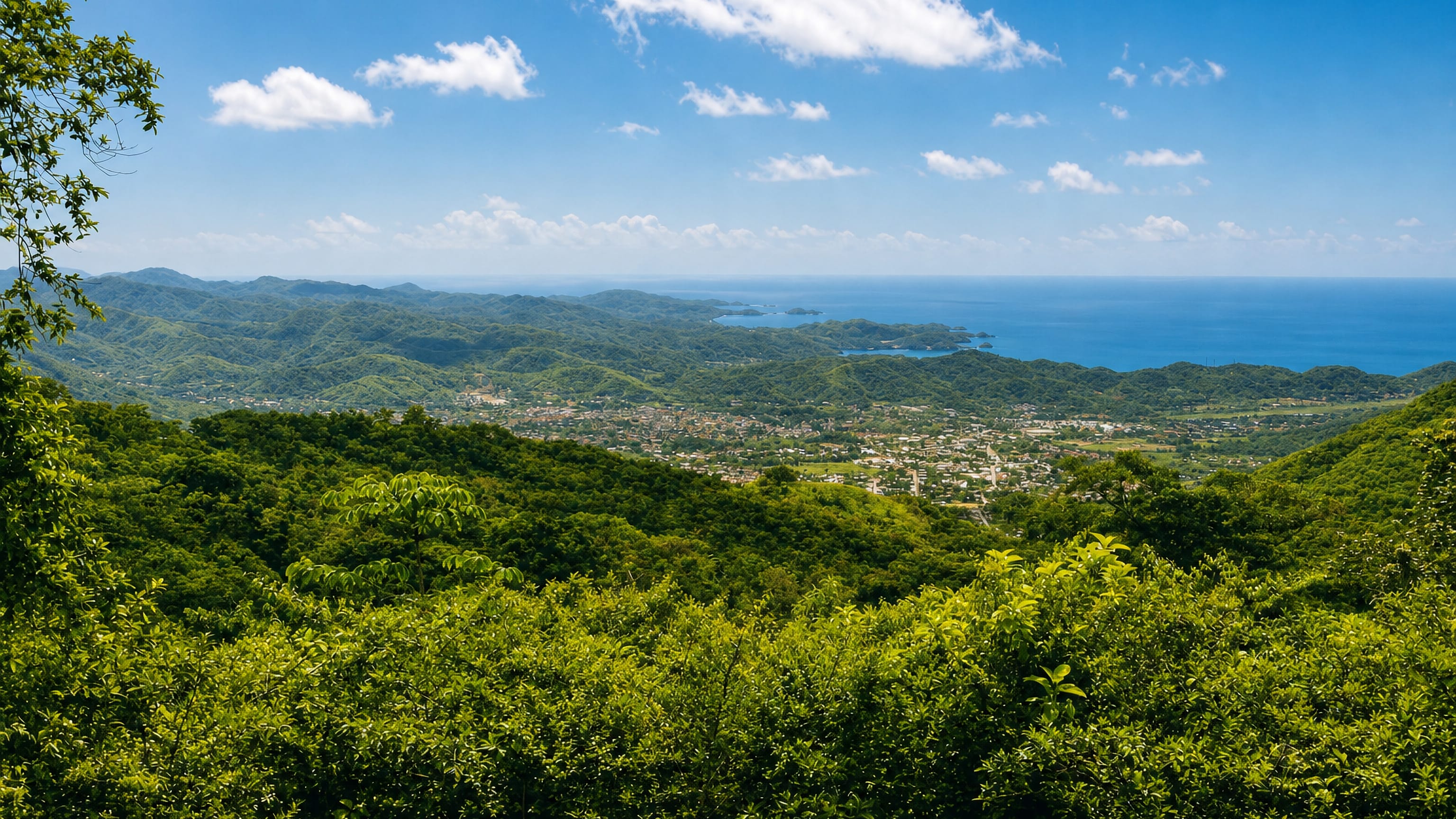 Carupano, Venezuela, spread along its Caribbean bay and seen from forested hills under a bright blue sky.