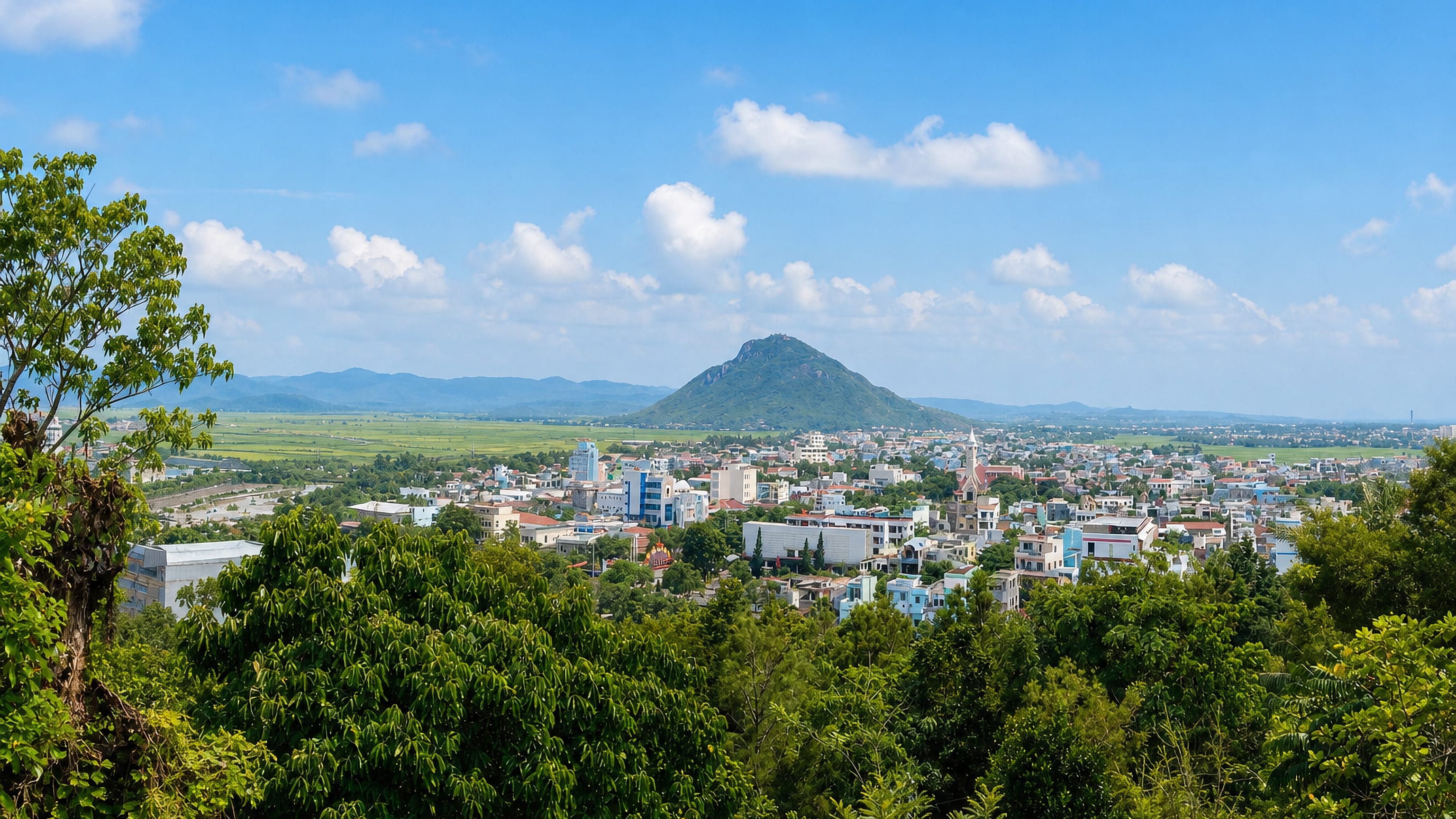 Tuy Hòa, Vietnam, viewed from a wooded hillside with the city's low skyline below a conical mountain.