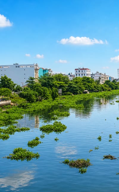 Riverside houses and moored boats along a hyacinth-dotted waterway in Go Vap, Ho Chi Minh City.