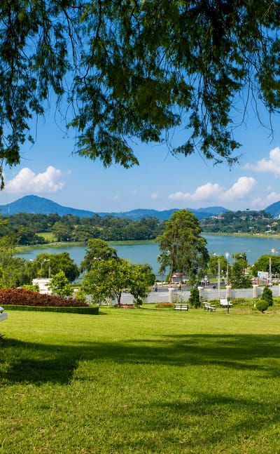 A park bench under a pine beside a lake ringed by hills at Ðà Lạt, Vietnam