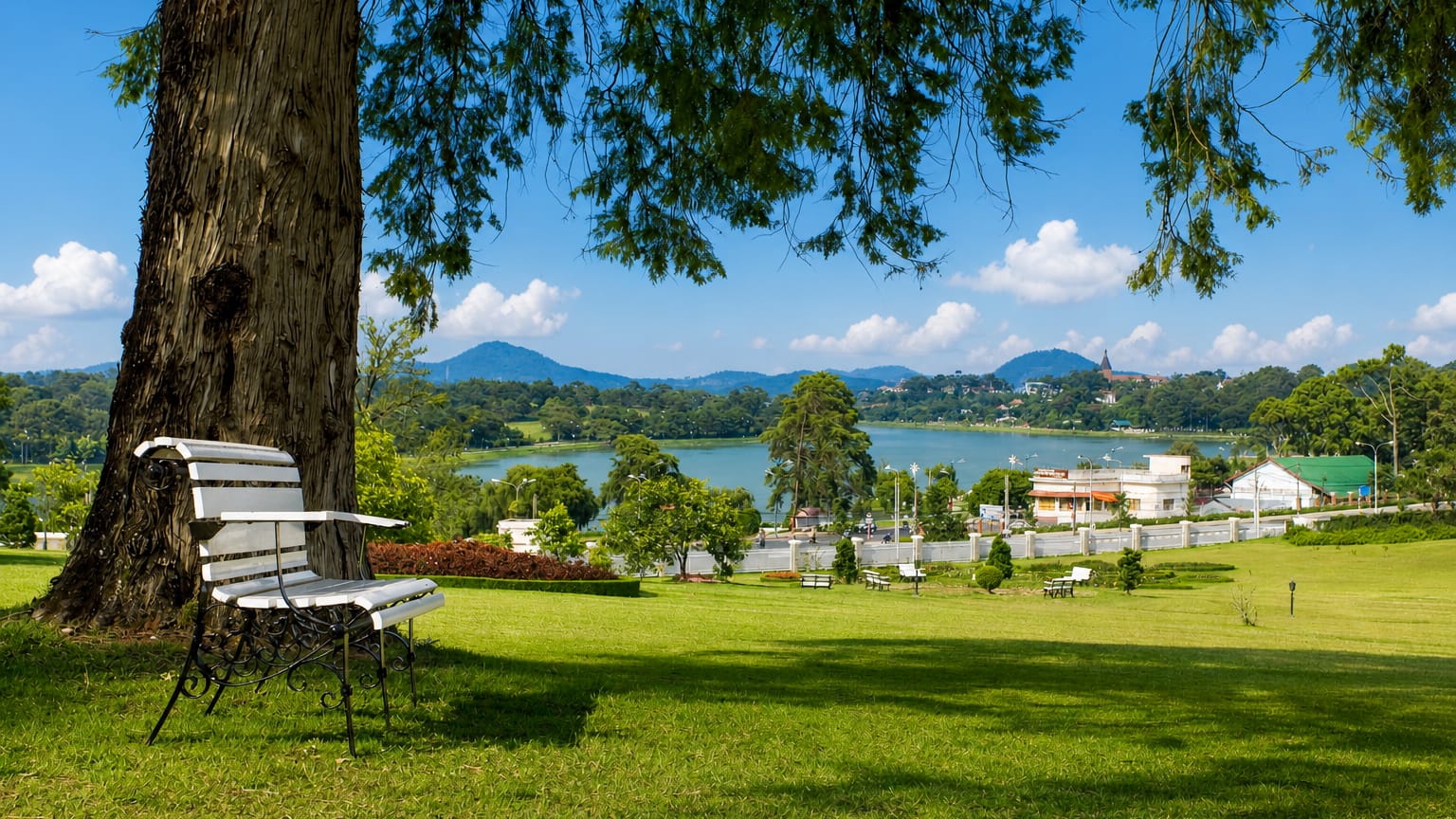A park bench under a pine beside a lake ringed by hills at Ðà Lạt, Vietnam